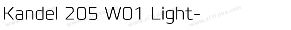 Kandel 205 W01 Light字体转换